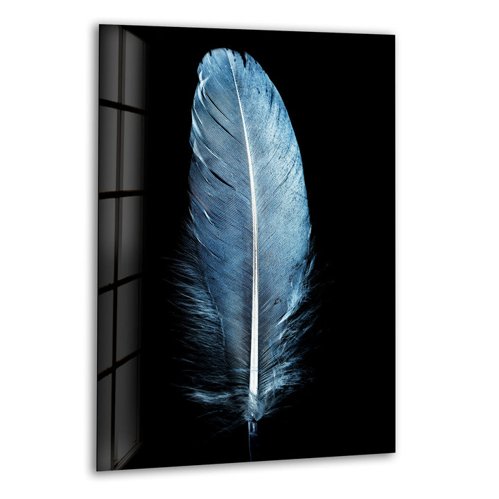 Large Blue Feather Glass Wall Art, print on glass, glass printed photos