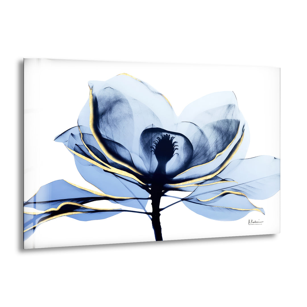 Albert Koetsier Midnight Magnolia 2 Glass Wall Art, print on glass, glass printed photos