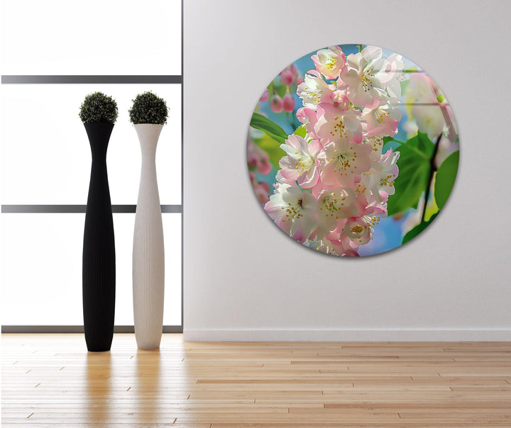 Cherry Blossoms Glass Wall Art, photo print on glass, prints on glass wall art