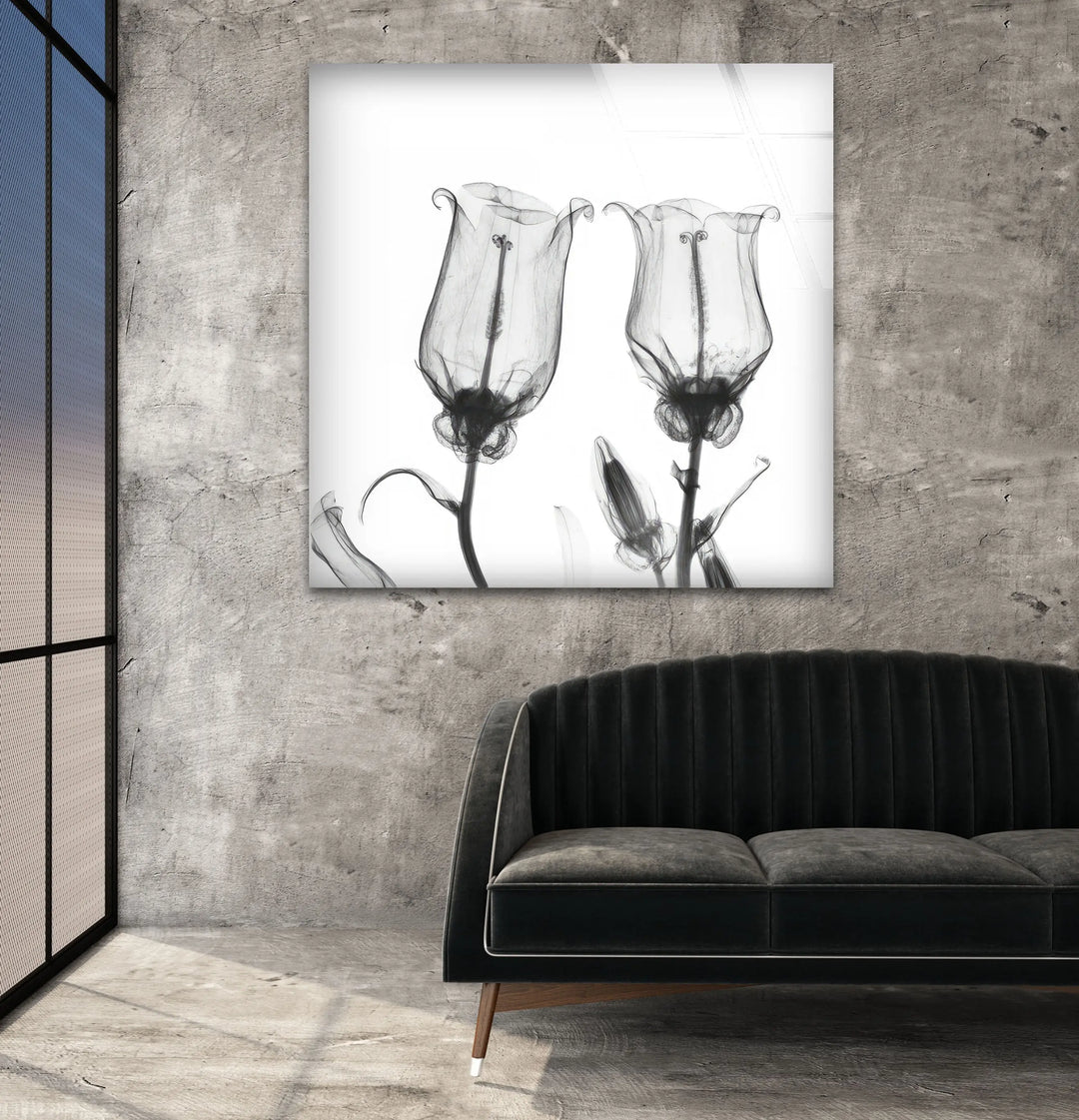 Albert Koetsier Canterbury Bells Glass Wall Art, large glass photo prints, glass wall photos