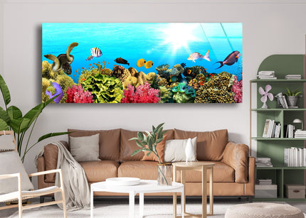 Marine Fishes Glass Wall Art