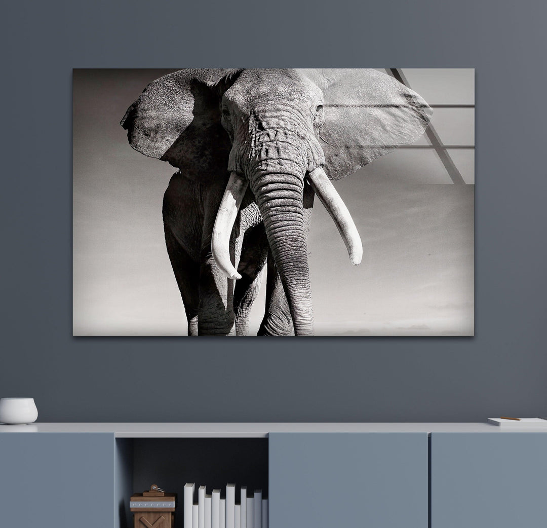 Black White Elephant Glass Wall Art glass image printing, glass prints from photos