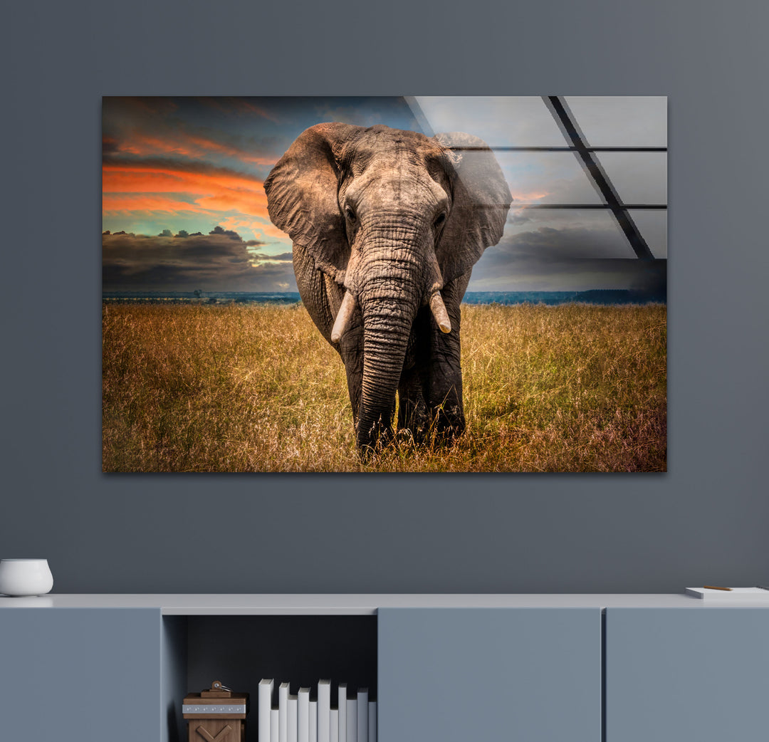 Majestic Elephant Glass Wall Art art glass wall art, glass wall art pictures