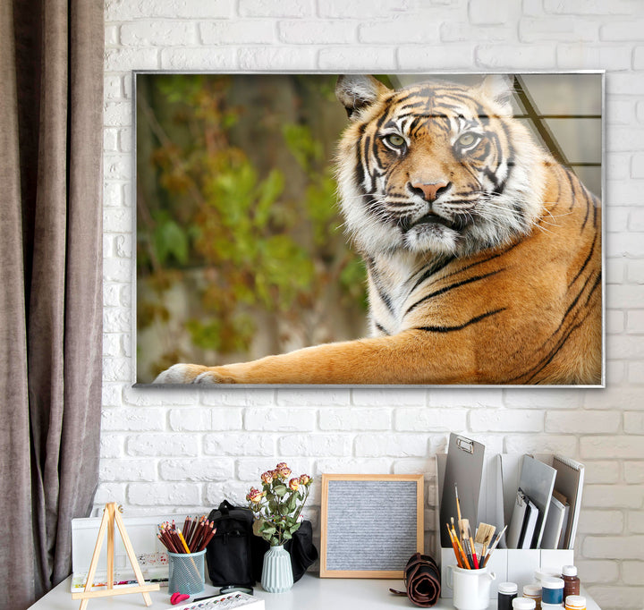 Tiger View Glass Wall Art large glass photo prints, glass wall photos