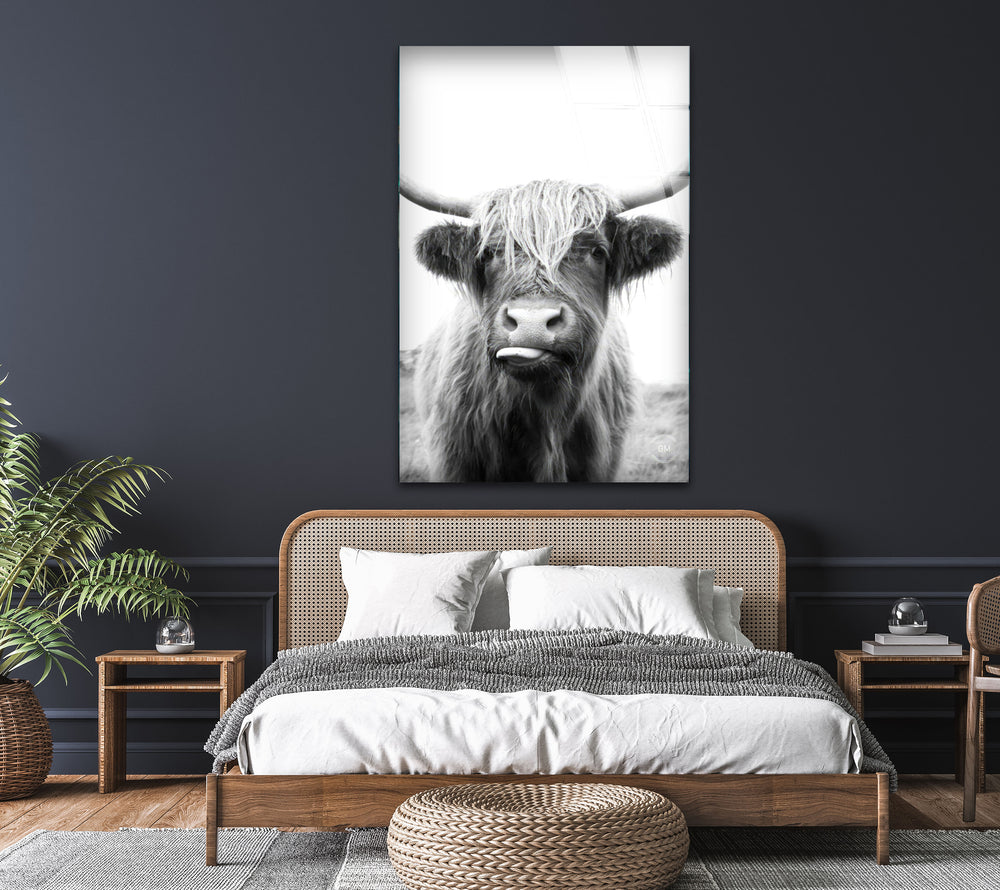 Highlander Cow Glass Wall Art custom glass pictures, glass art prints