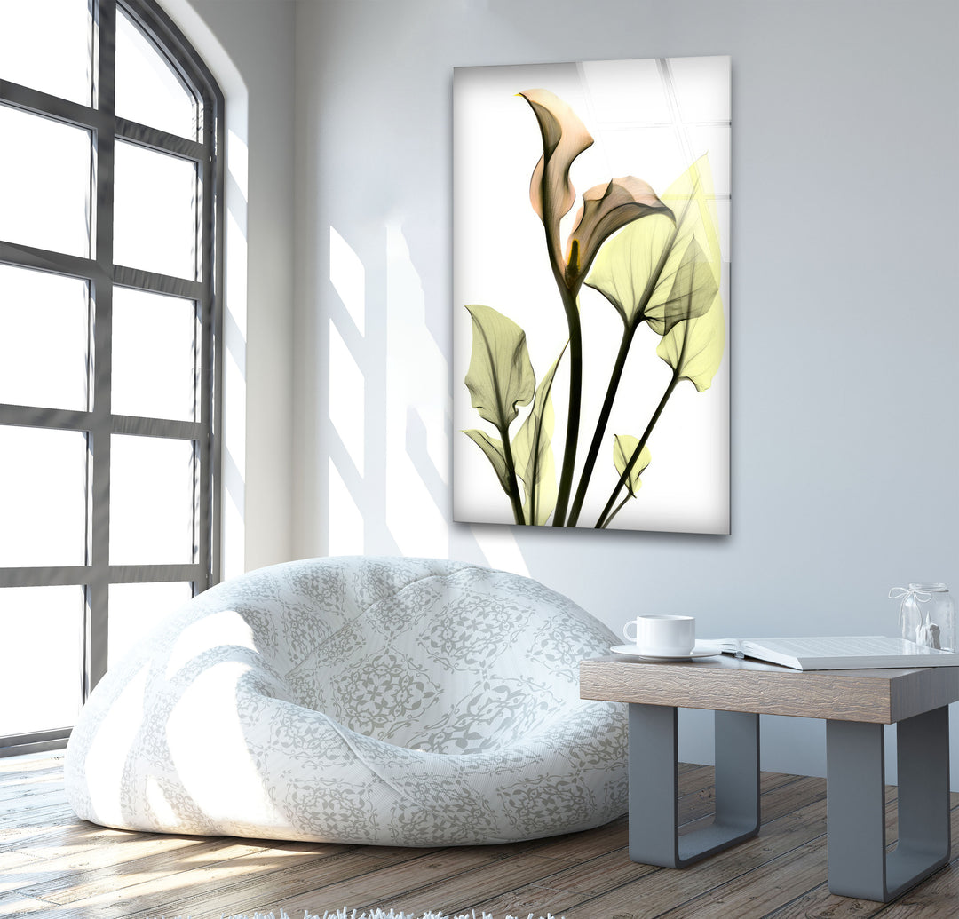 Albert Koetsier Xray Calla Lily Glass Wall Art, custom glass photo prints, large glass prints