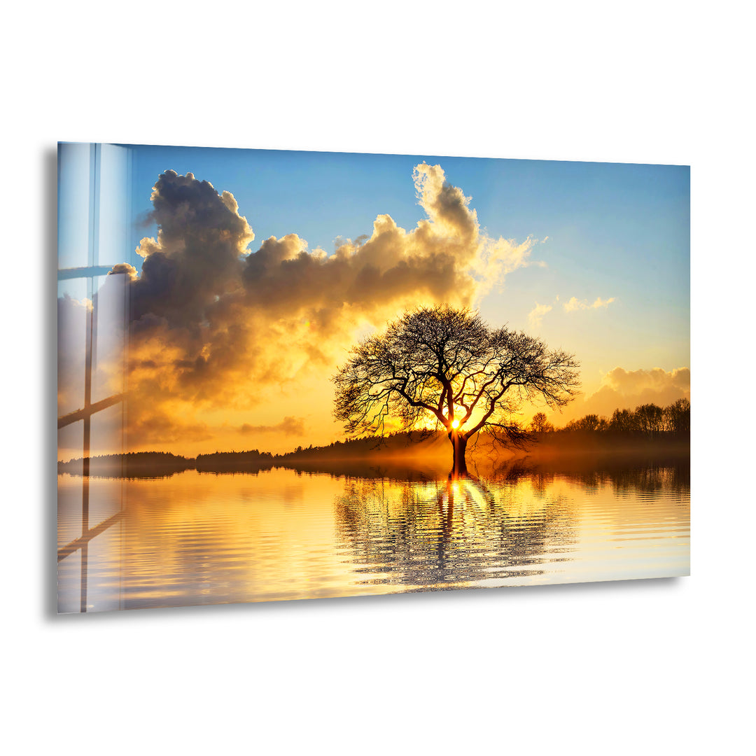 Lonely Tree At Sunset Glass Wall Art picture on glass wall art, photos printed on glass