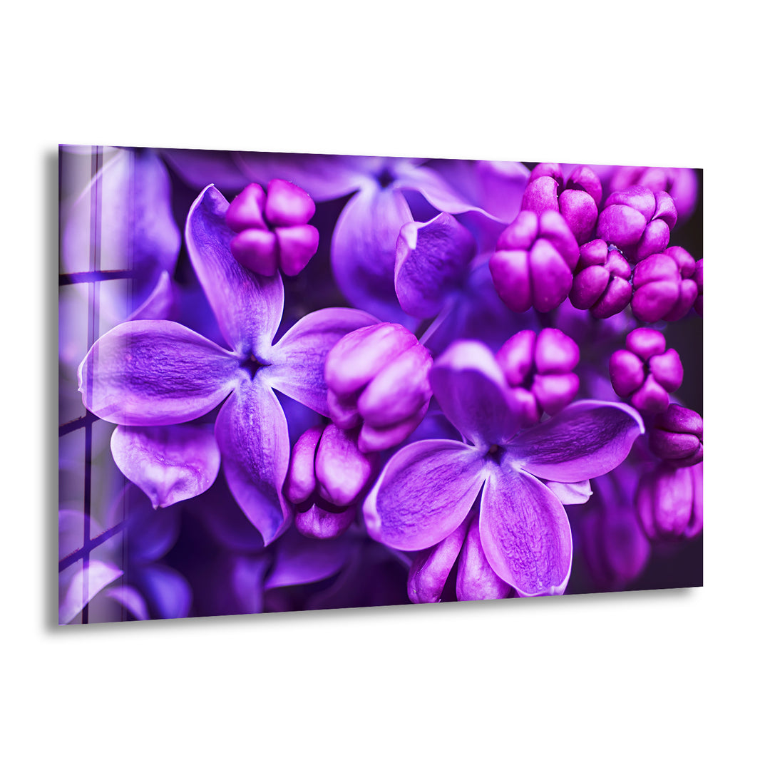 Purple Lilac Glass Wall Art, print picture on glass, Tempered Glass Wall Art