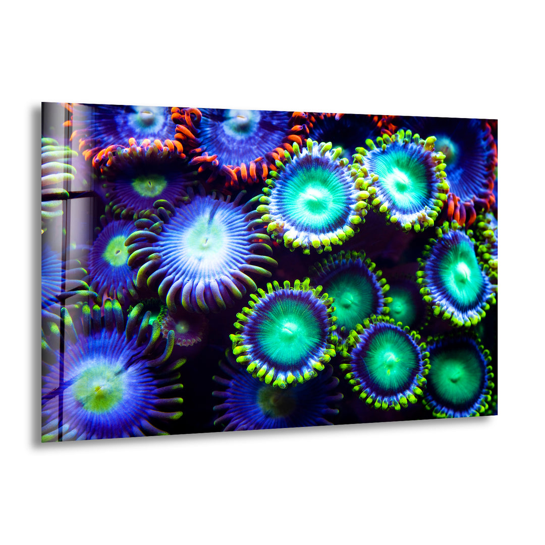 Neon Coral Glass Wall Art glass art painting, glass art for the Wall