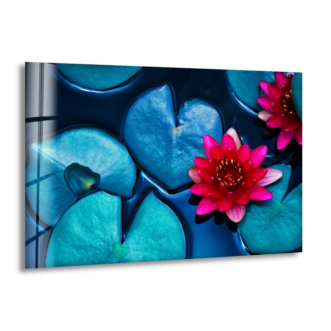 Red Lotus Water Lily Glass Wall Art, print picture on glass, Tempered Glass Wall Art
