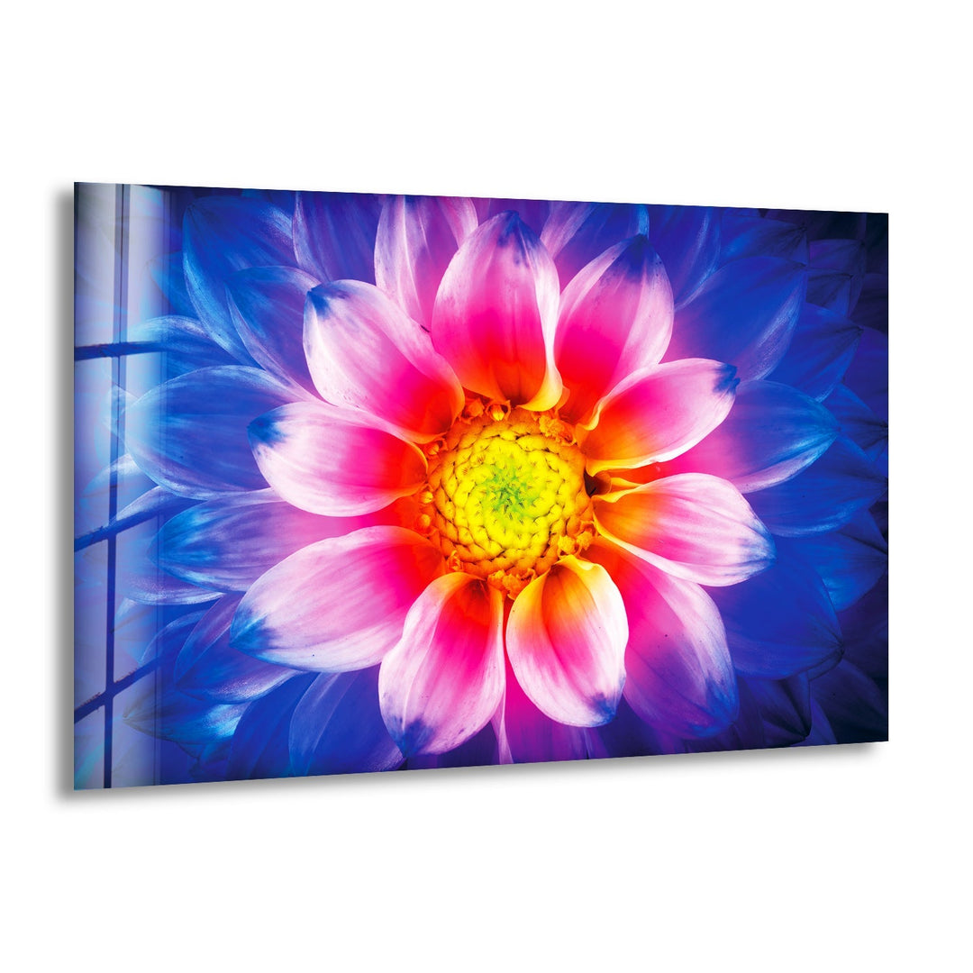 Colorful Chrysanthemum Flower Glass Wall Art, print picture on glass, Tempered Glass Wall Art