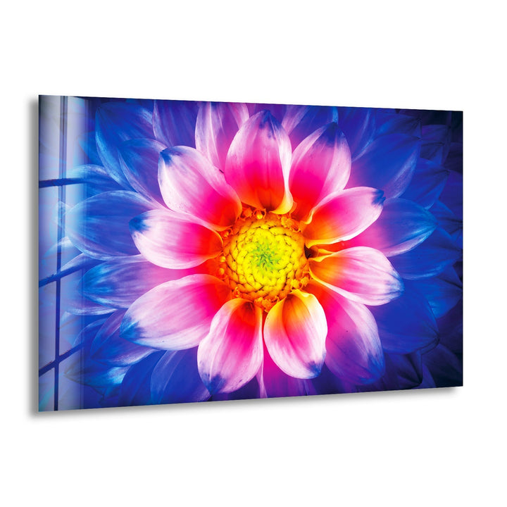 Colorful Chrysanthemum Flower Glass Wall Art, print picture on glass, Tempered Glass Wall Art