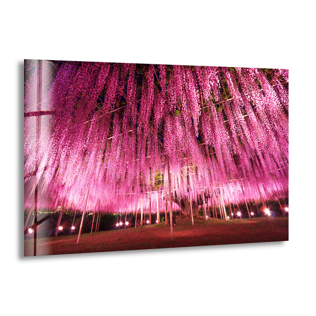 Ashikaga Flower Park Glass Wall Art
, print on glass, glass printed photos
