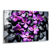 Orchid and Stones Tempered Glass Wall Art