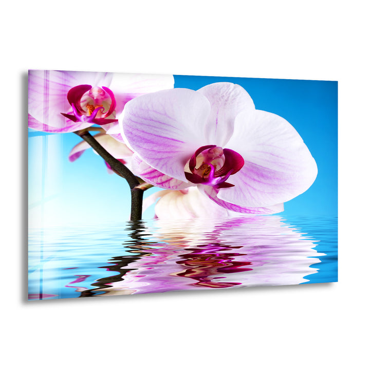 Pink Orchid Glass Wall Art, print on glass, glass printed photos