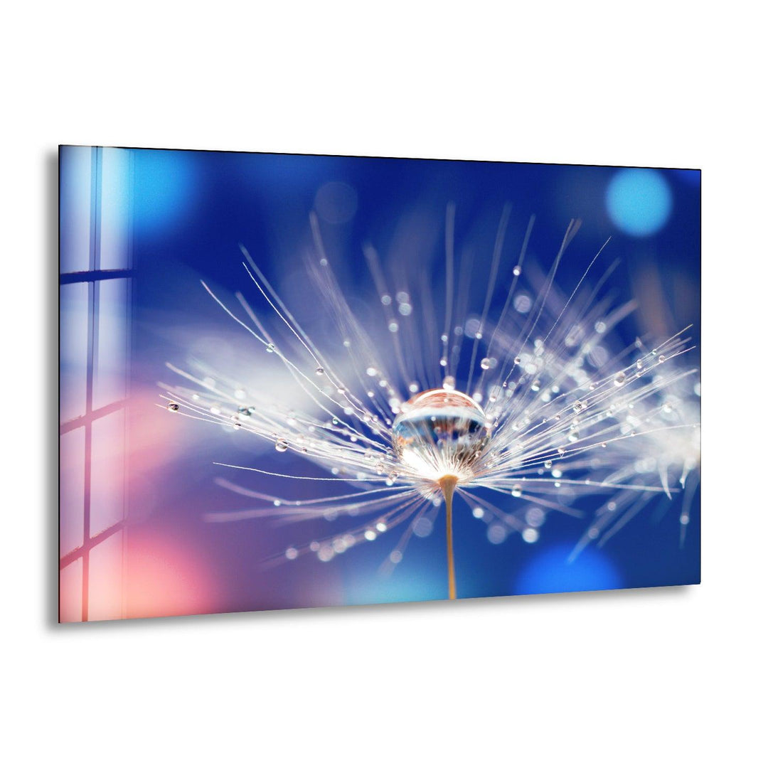 Blue Dandelion With Drops Glass Wall Art, print picture on glass, Tempered Glass Wall Art