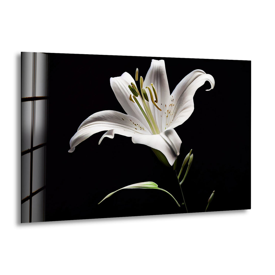 Solitary Stunning Lily Glass Wall Art, print picture on glass, Tempered Glass Wall Art