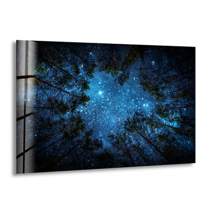 Stars Through The Trees Glass Wall Art glass wall decor, glass wall art decor