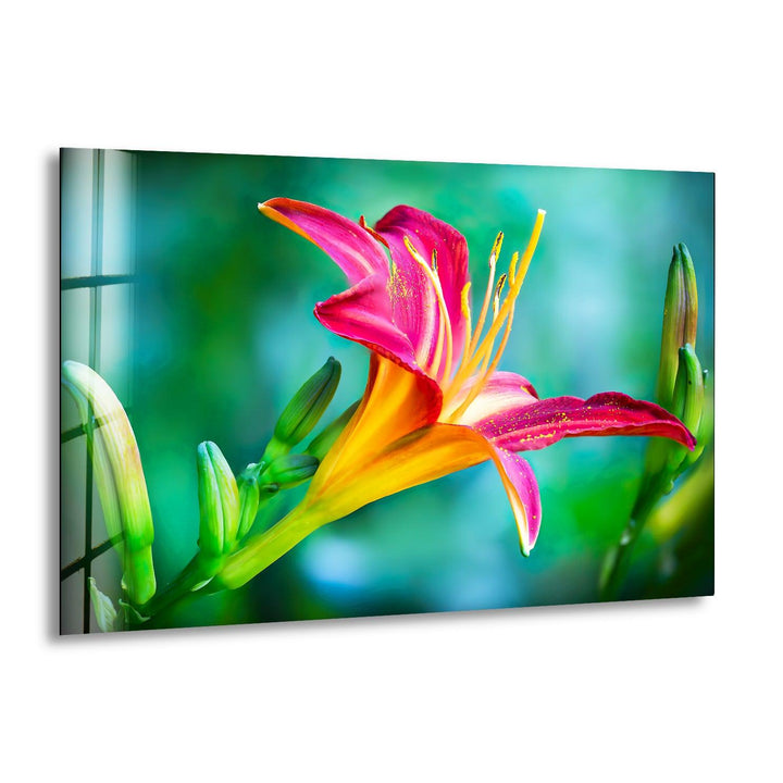 Closeup Pink Lily Glass Wall Art, print picture on glass, Tempered Glass Wall Art