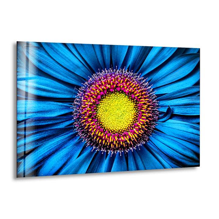 Close Up Gerbera Flower Glass Wall Art, print picture on glass, Tempered Glass Wall Art