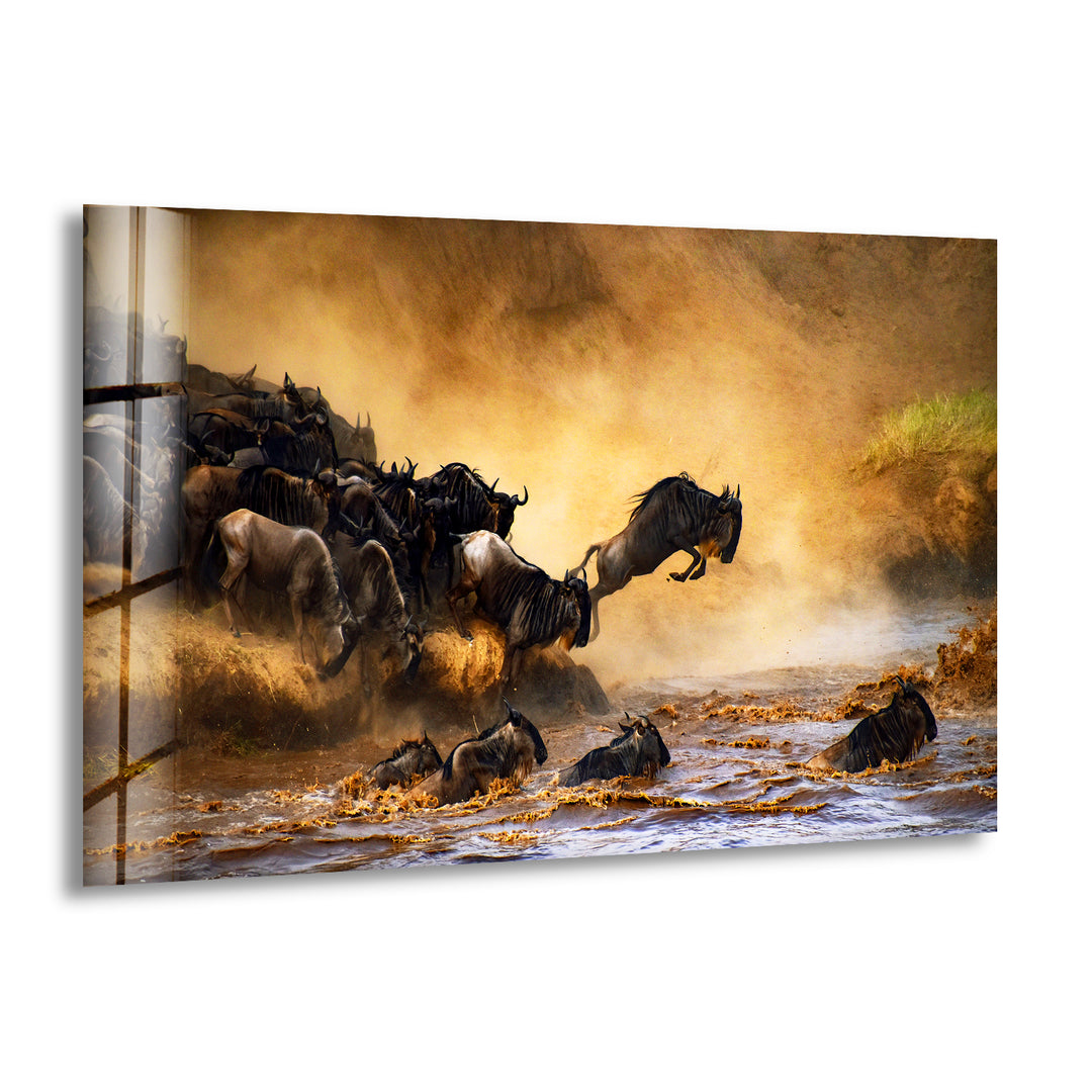 Wildebeests Running on Safari Glass Wall Art glass image printing, glass prints from photos