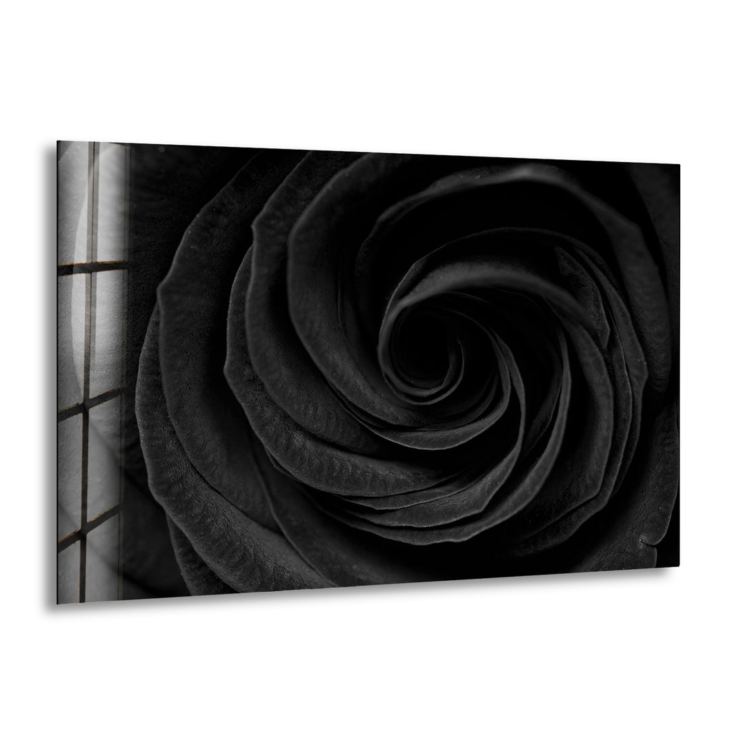 Black Rose Glass Wall Art, print picture on glass, Tempered Glass Wall Art