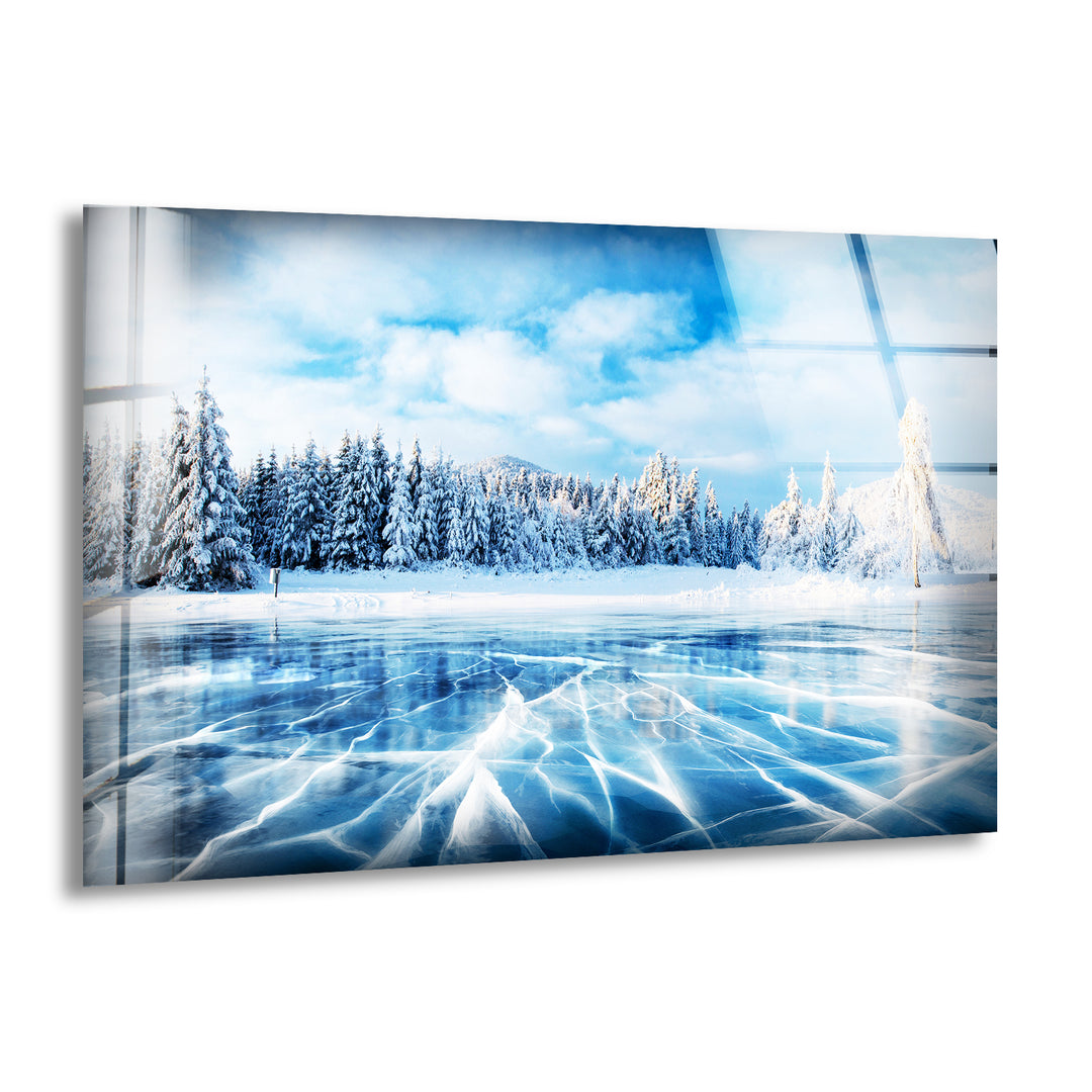 Winter Forest Snow Glass Wall Art print on glass, glass printed photos