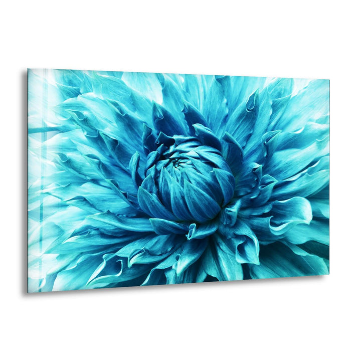 Dahlia Turquoise Flower Glass Wall Art, print picture on glass, Tempered Glass Wall Art