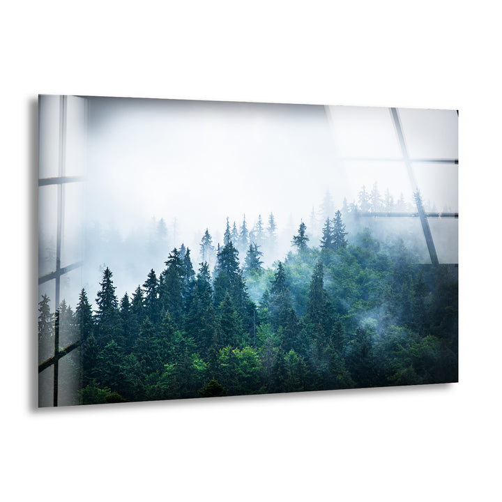 Foggy Forest Nature Glass Wall Art