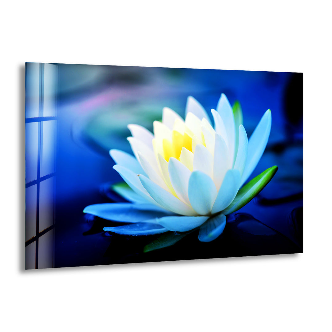 White Water Lotus Glass Wall Art, print on glass, glass printed photos