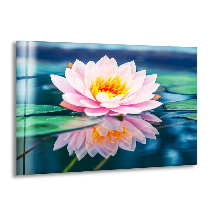 Pink Lotus Flower Glass Wall Art, print on glass, glass printed photos