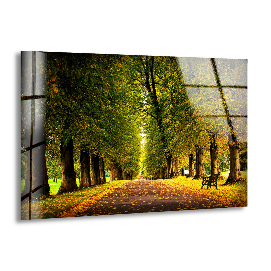 Nature Forest Glass Wall Art large glass photo prints, glass wall photos