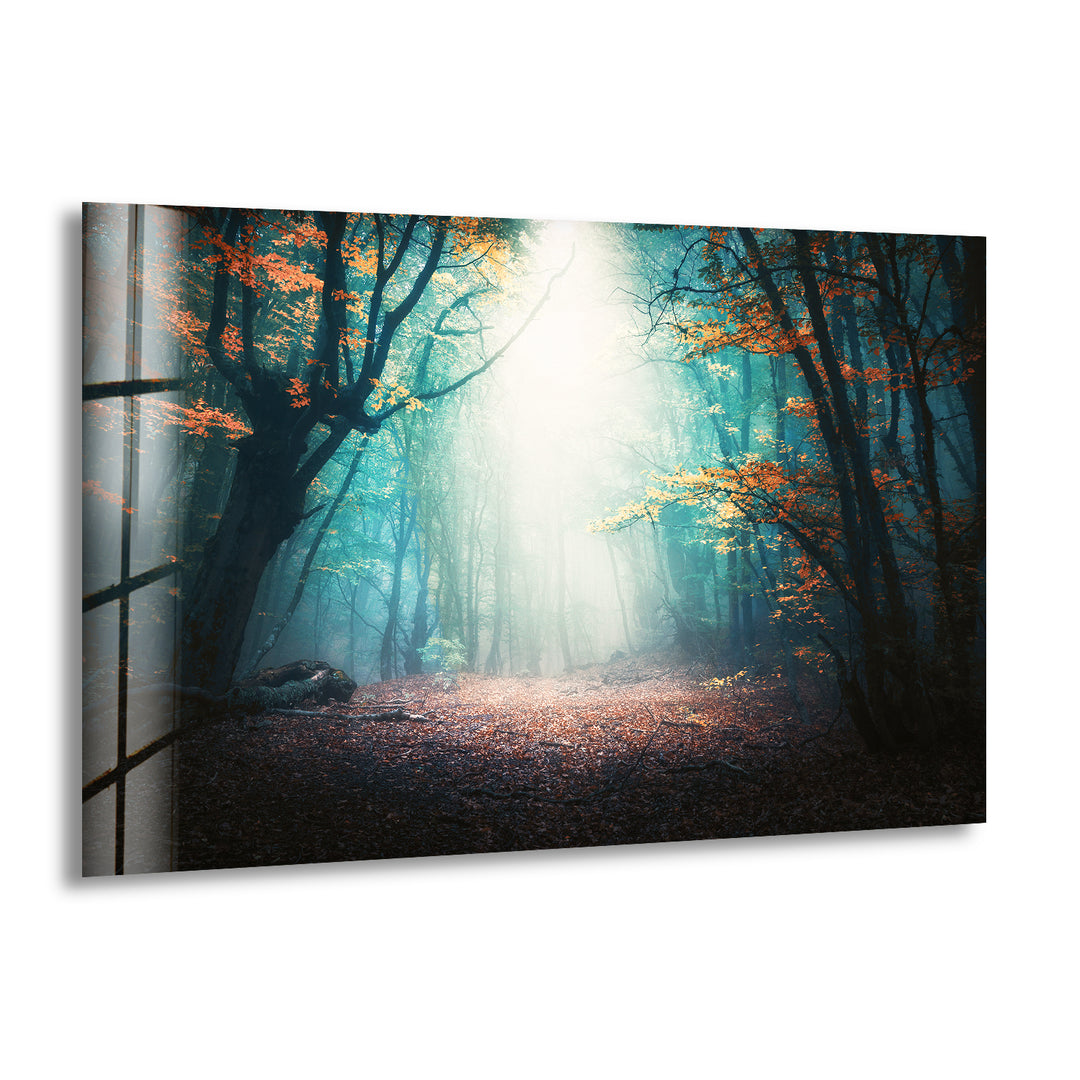 Mystical Forest In Blue Fog Glass Wall Art picture on glass wall art, photos printed on glass