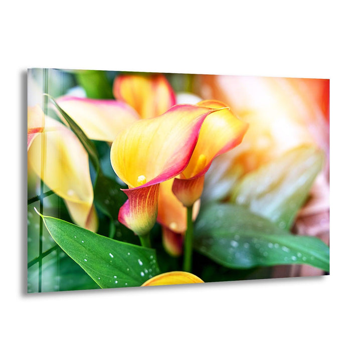 Colorful Calla Lilies Glass Wall Art, print picture on glass, Tempered Glass Wall Art