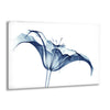 Xray Amaryllis Flower Glass Wall Art, print picture on glass, Tempered Glass Wall Art