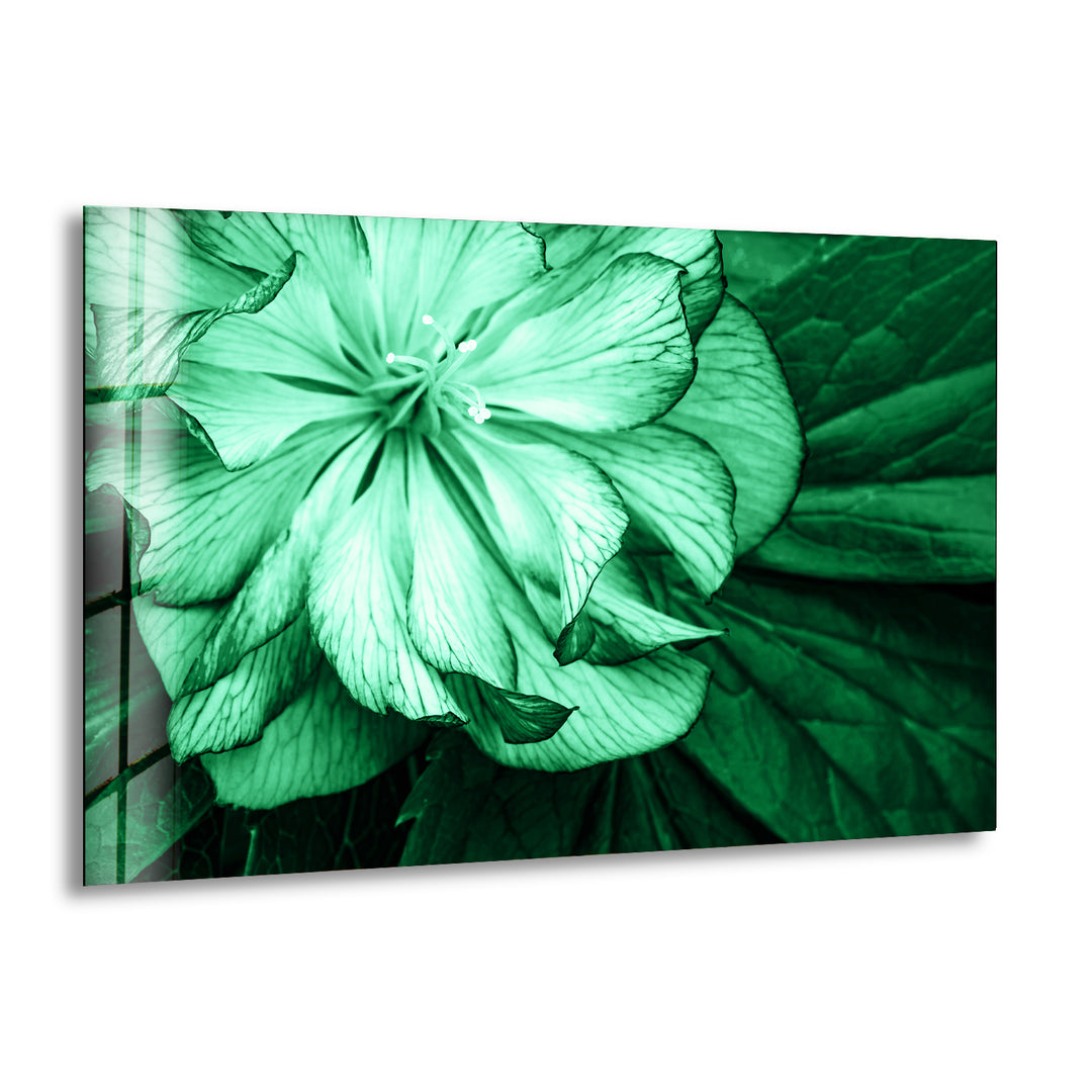 Mint Green Flower Petals Glass Wall Art, print on glass, glass printed photos