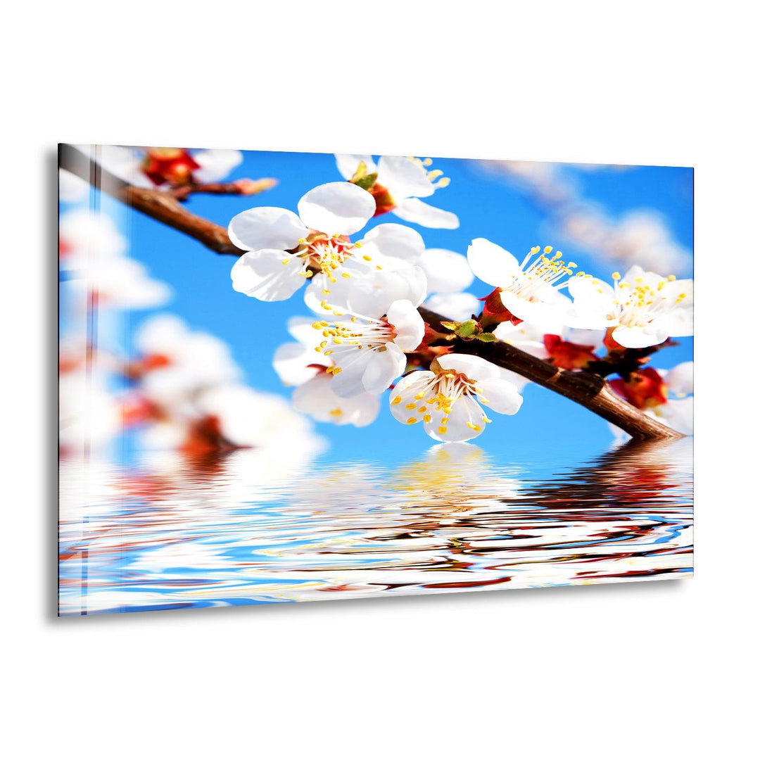 Cherry Tree Branch In Bloom Glass Wall Art, print on glass, glass printed photos
