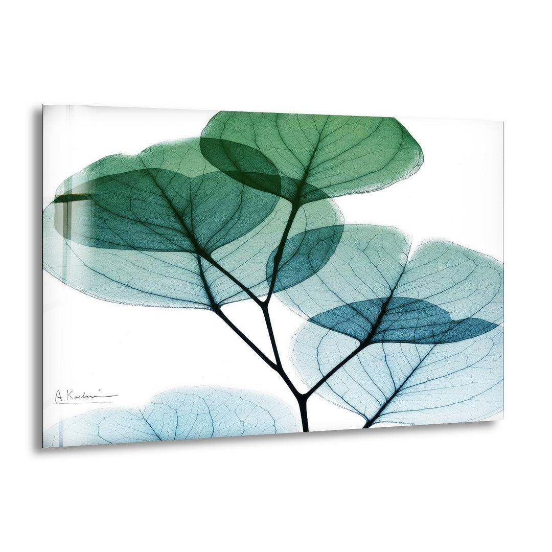 Albert Koetsier Dull Eucalyptus Mate Glass Wall Art, print picture on glass, Tempered Glass Wall Art