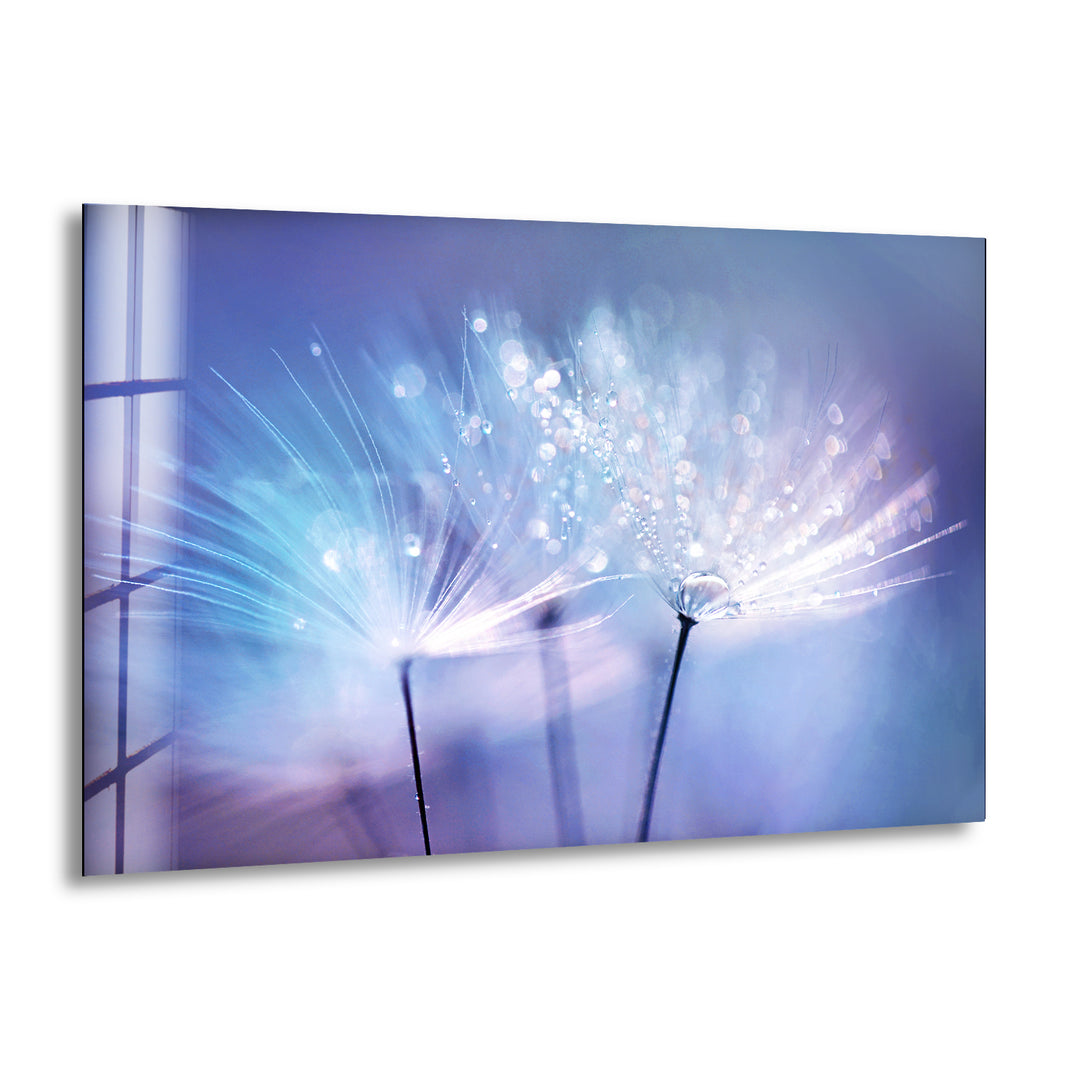 Dandelion Blue Sparkling Drops Glass Wall Art, print on glass, glass printed photos