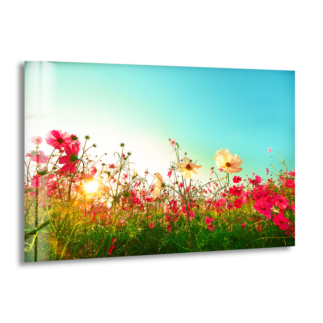 Poppy Flower Field Glass Wall Art, print picture on glass, Tempered Glass Wall Art