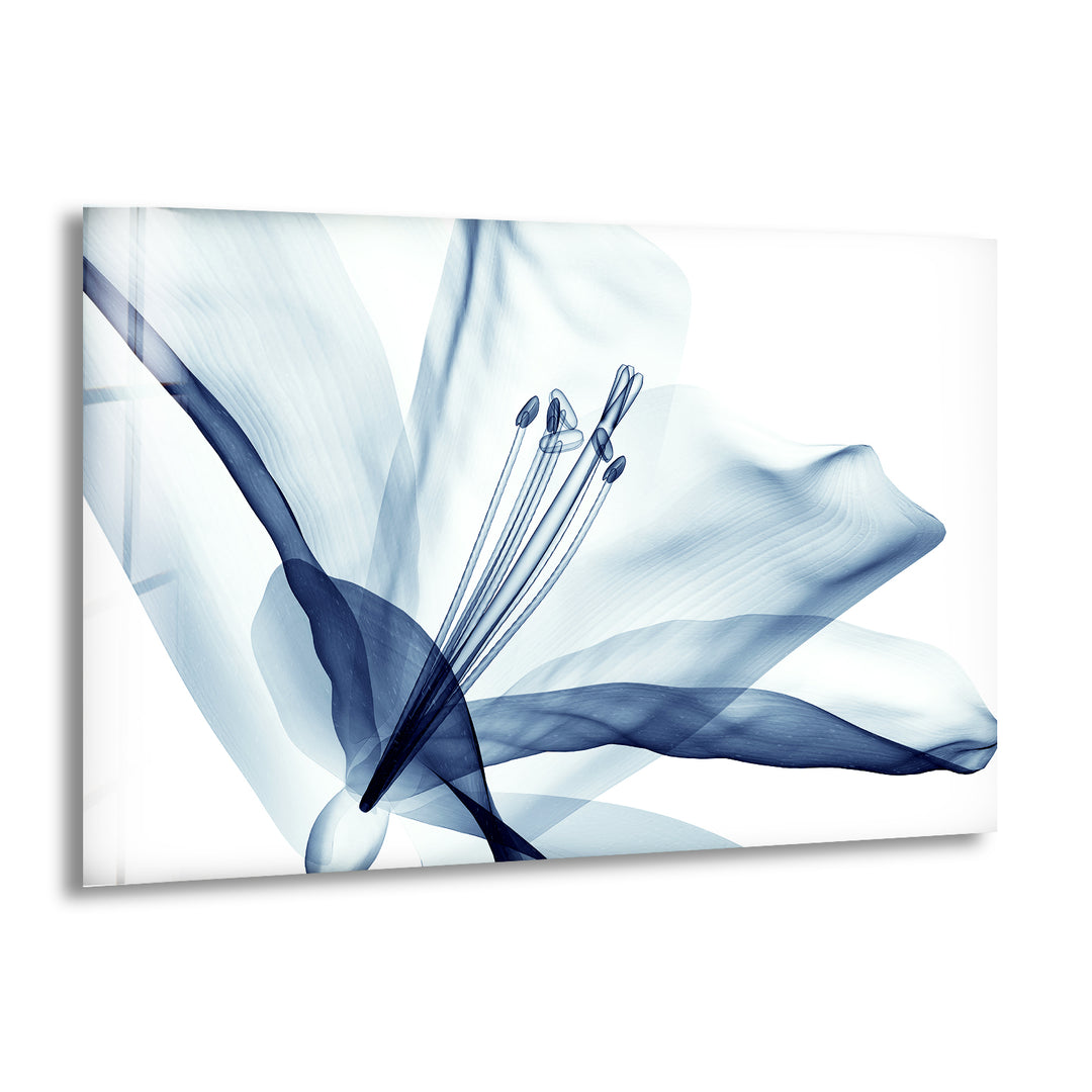 Xray Blue Flower Glass Wall Art, print on glass, glass printed photos