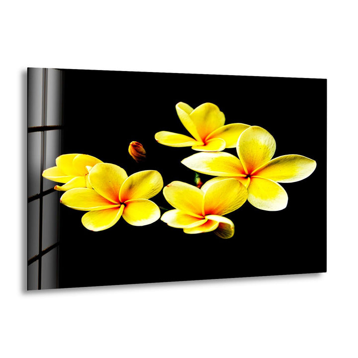 Yellow Plumeria Glass Wall Art, print on glass, glass printed photos