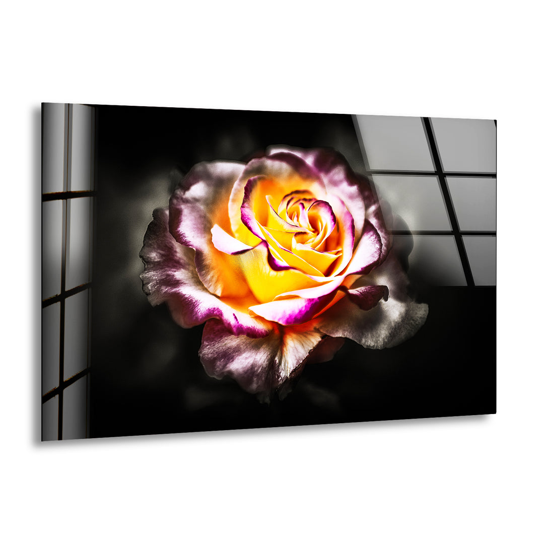 Yellow & Red Rose Glass Wall Art, print on glass, glass printed photos