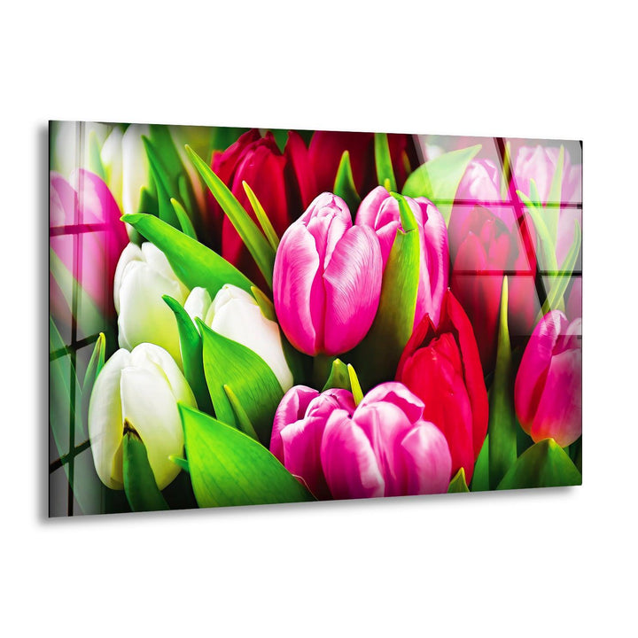 Colorful Tulips Glass Wall Art, print picture on glass, Tempered Glass Wall Art