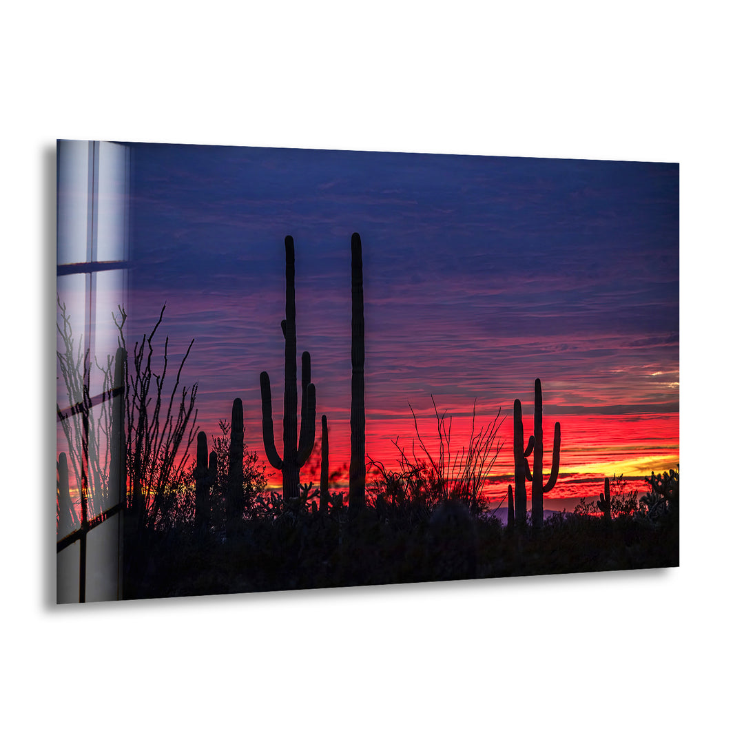 Saguaro Sunset Landscape Glass Wall Art picture on glass wall art, photos printed on glass