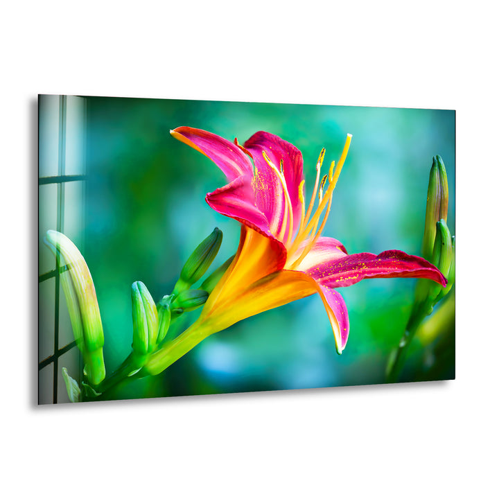 Lilies Closeup Flower Glass Wall Art, print picture on glass, Tempered Glass Wall Art