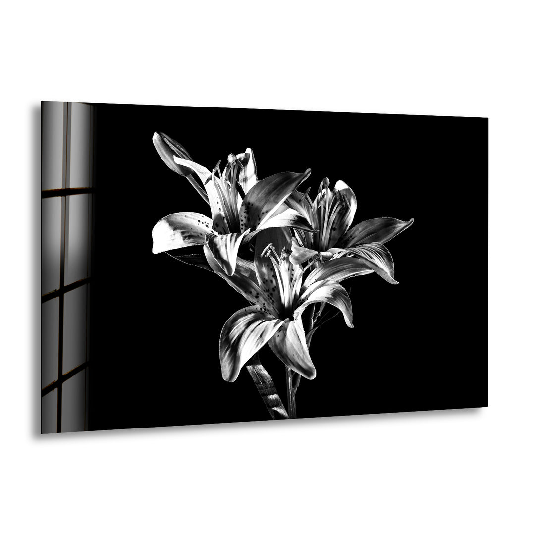 Black Xray Lily Flower Glass Wall Art, print on glass, glass printed photos
