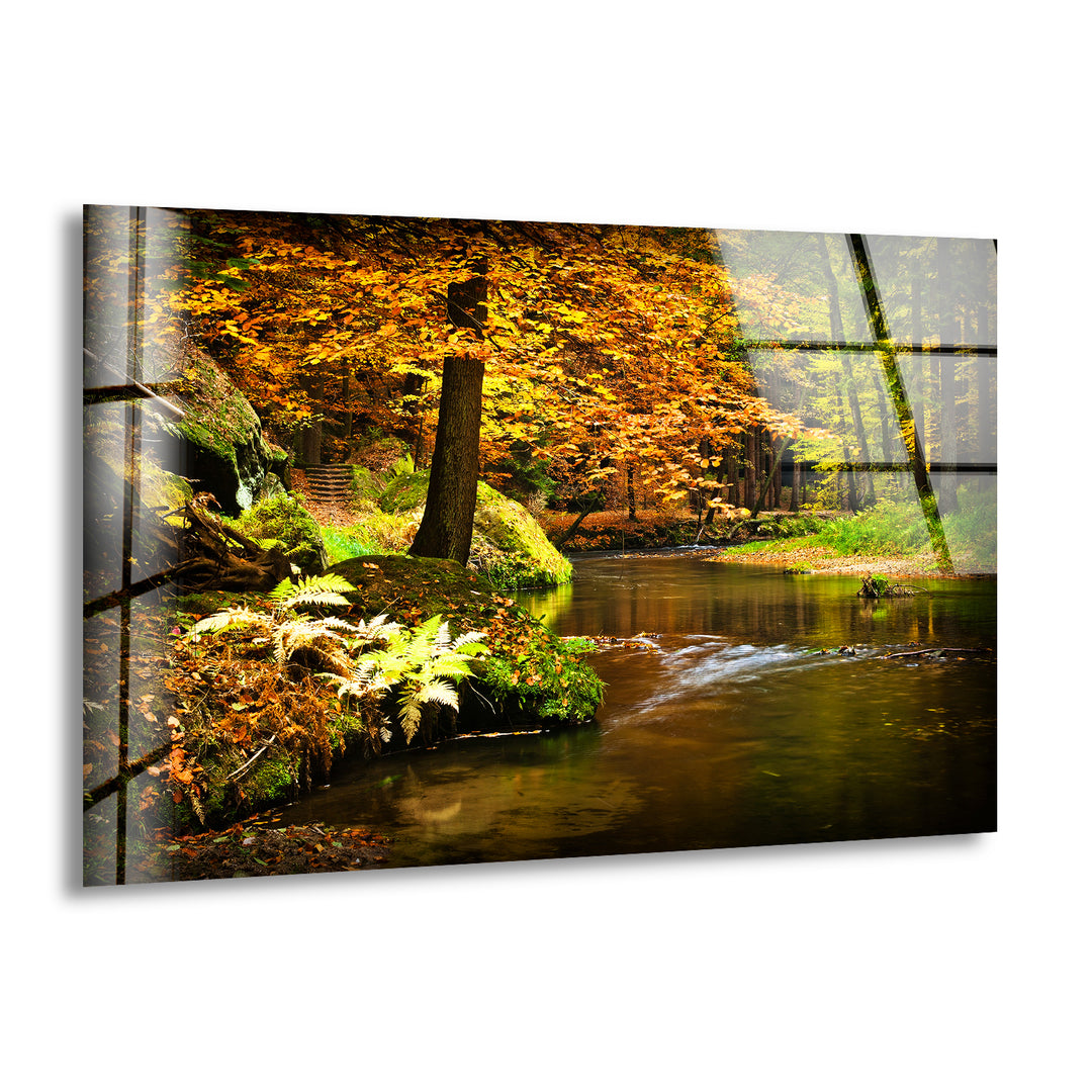 River in The Forest Glass Wall Art art glass wall art, glass wall art pictures