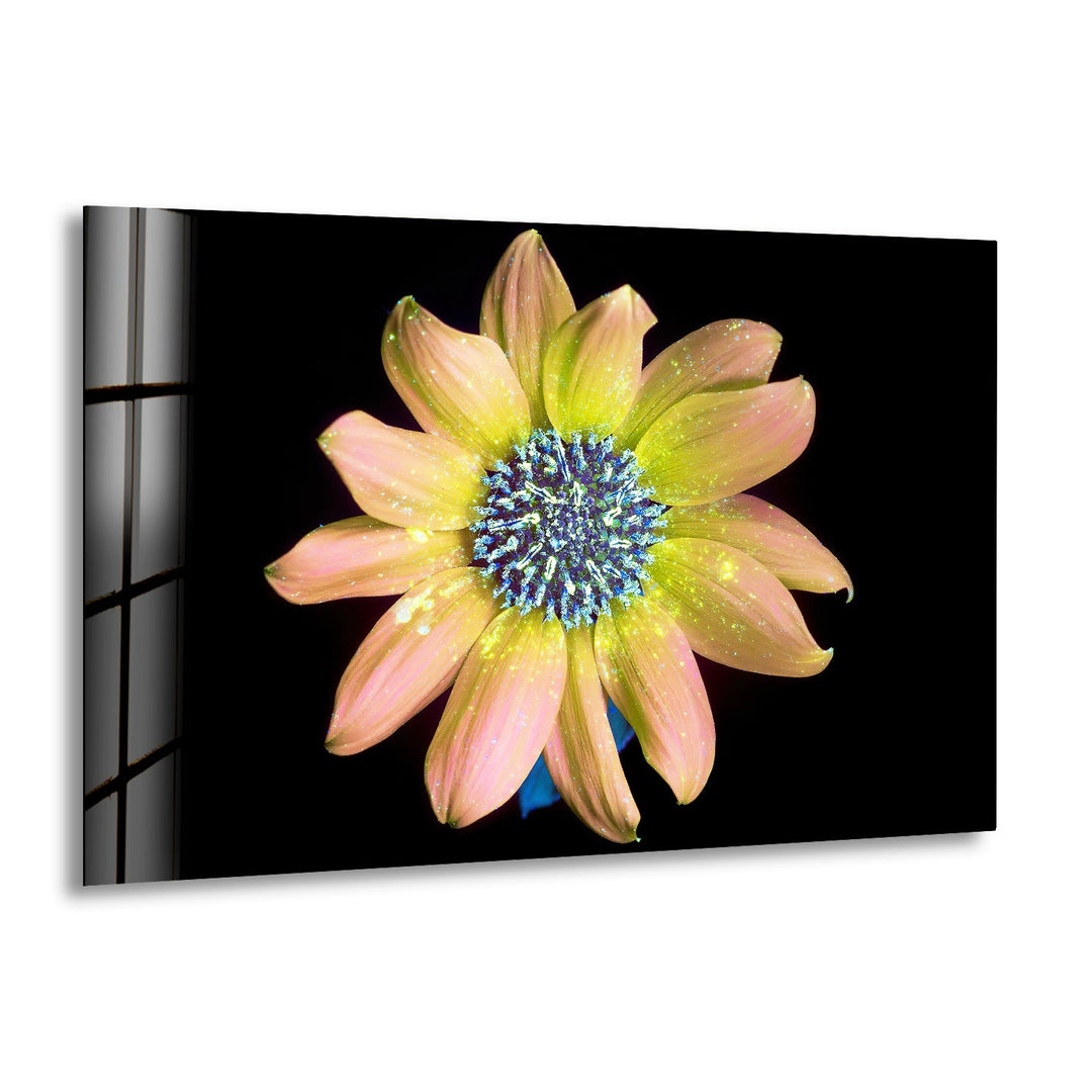 Sparkling Photos Of Flowers Glass Wall Art, print picture on glass, Tempered Glass Wall Art