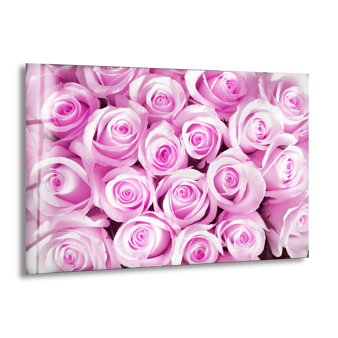 Pink Bud Roses Glass Wall Art
, print on glass, glass printed photos
